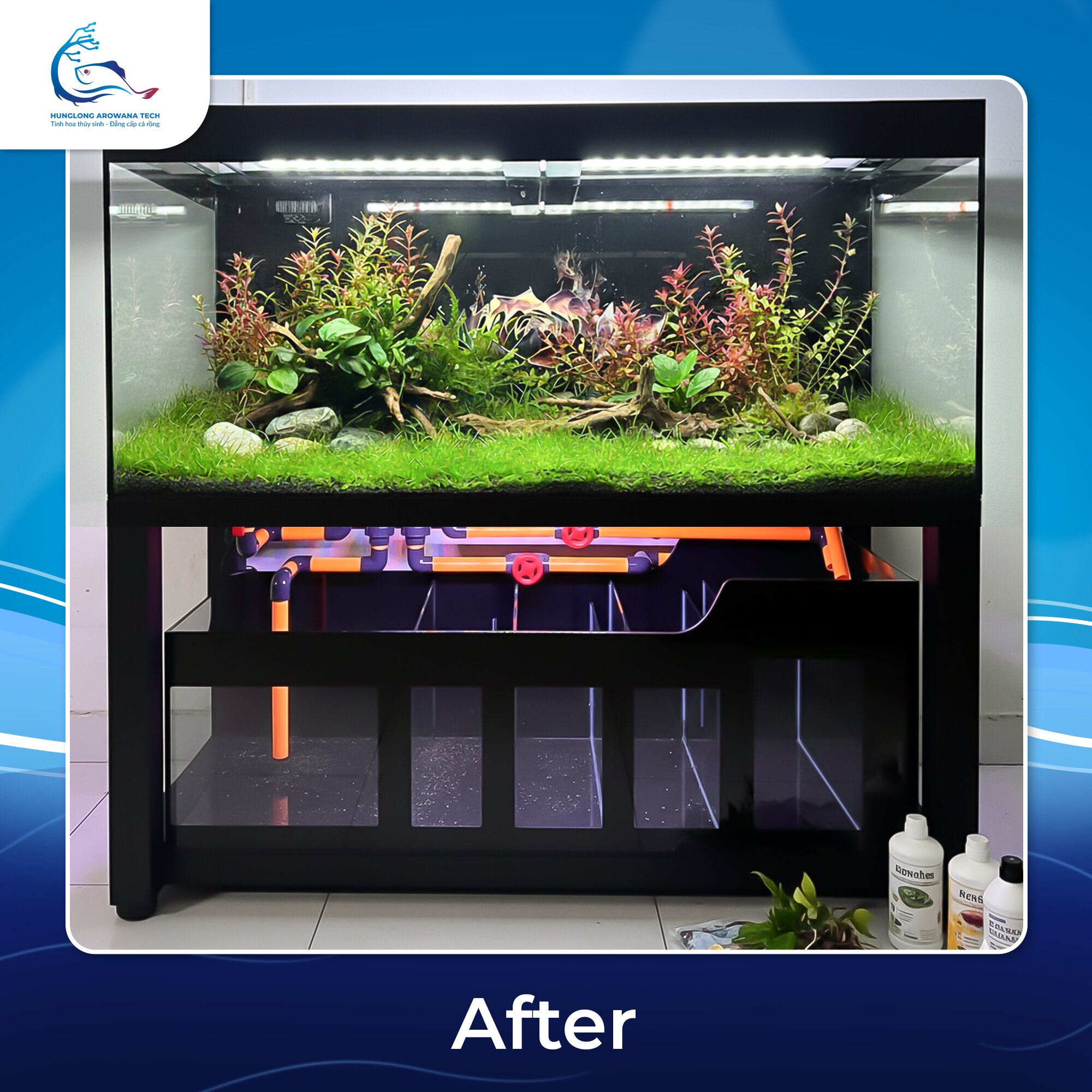 be-thuy-sinh-sau-khi-setup-layout-hoan-thien After