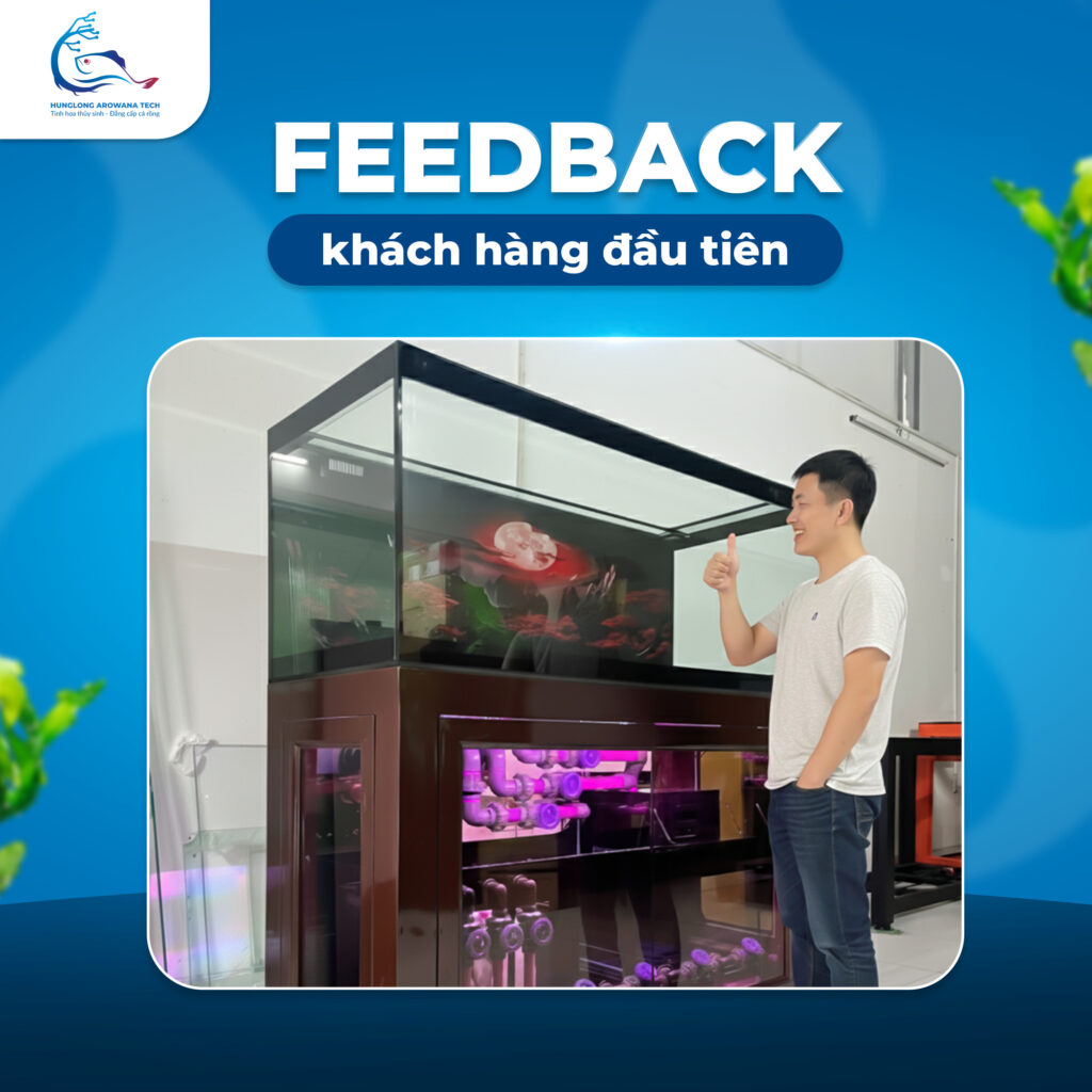 Feedback Khách Hàng Hài Lòng Bể Cá Rồng Thiết Kế