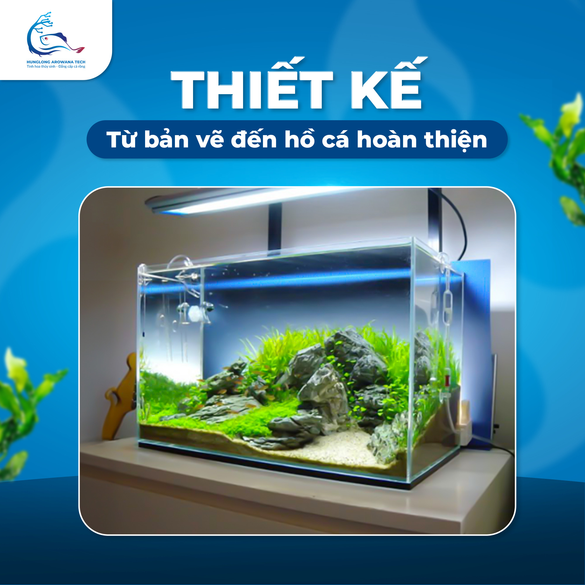 Thiết Kế Hồ Cá Thủy Sinh Phong Cách Iwagumi