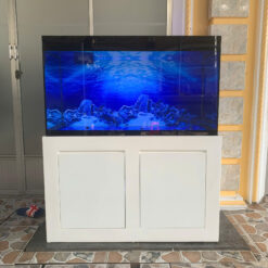 Siêu Phẩm Bể Cá Bạch Ngọc Thủy Cung