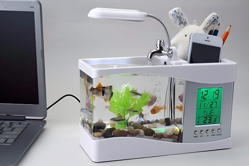 be-ca-canh-mini-de-ban-lam-viec Bể Cá Cảnh Mini Để Bàn Làm Việc