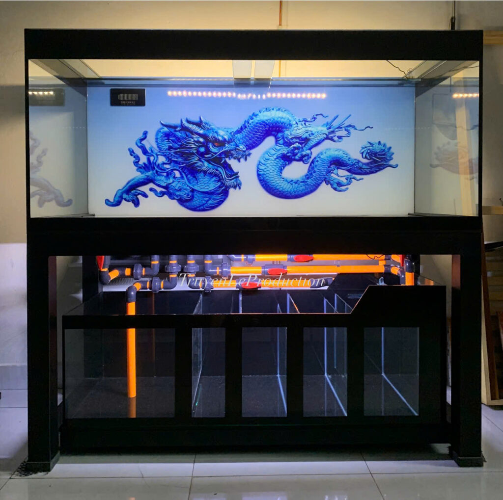 Chu Trình Nitơ Trong Bể Cá Cảnh