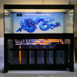 Chu Trình Nitơ Trong Bể Cá Cảnh