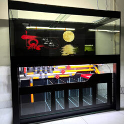 Siêu Phẩm Bể Cá Đan Thư Vọng Nguyệt