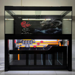 Dịch Vụ Thiết Kế Thi Công Bể Cá Cảnh TPHCM