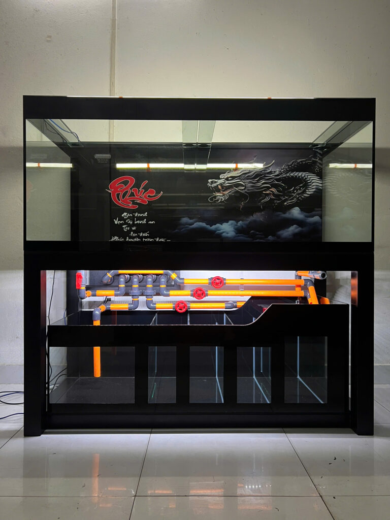 dich-vu-thiet-ke-thi-cong-be-ca-canh-tphcm Dịch Vụ Thiết Kế Thi Công Bể Cá Cảnh TPHCM