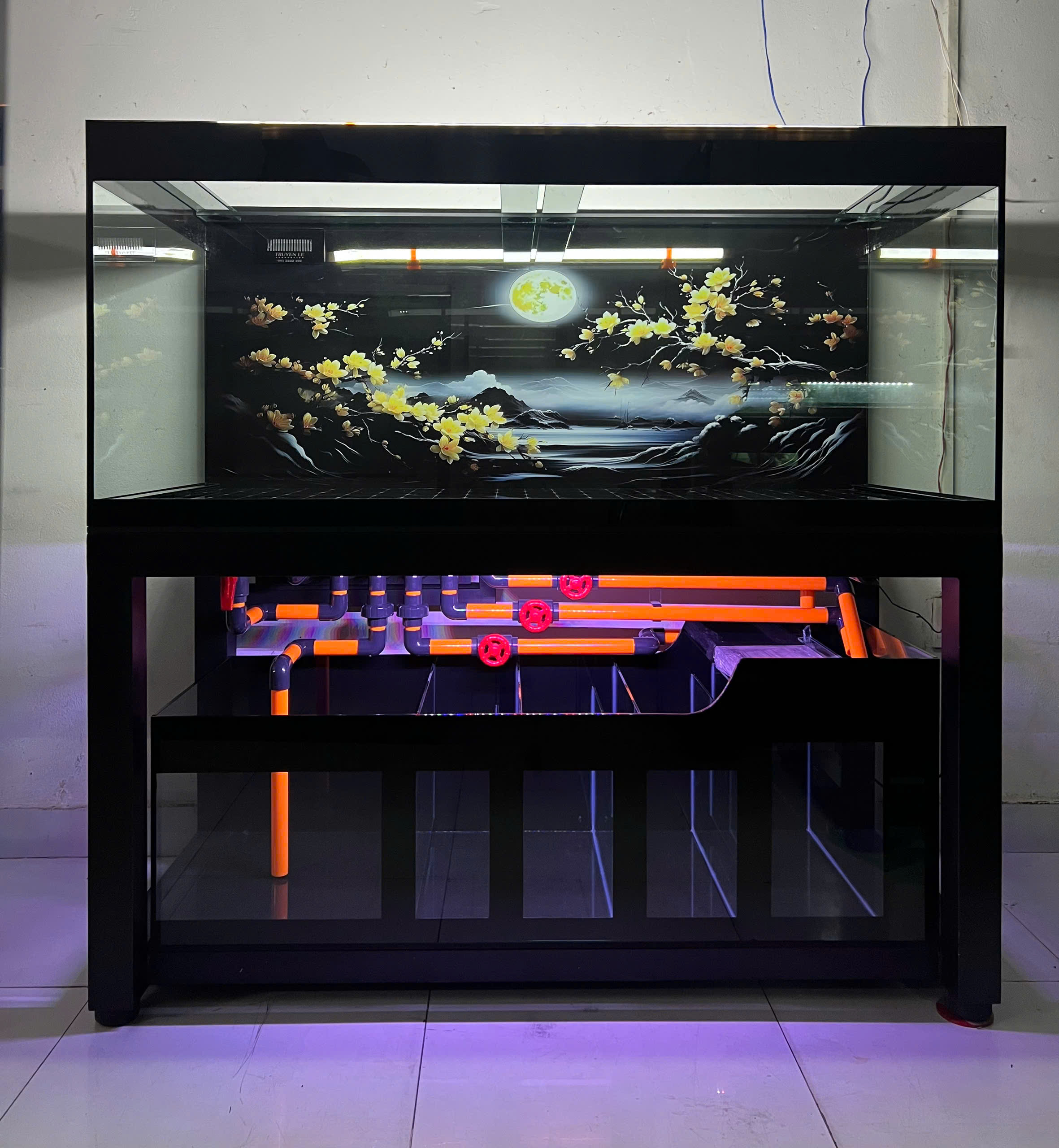 Siêu Phẩm Bể Cá Hàn Mai Vọng Nguyệt