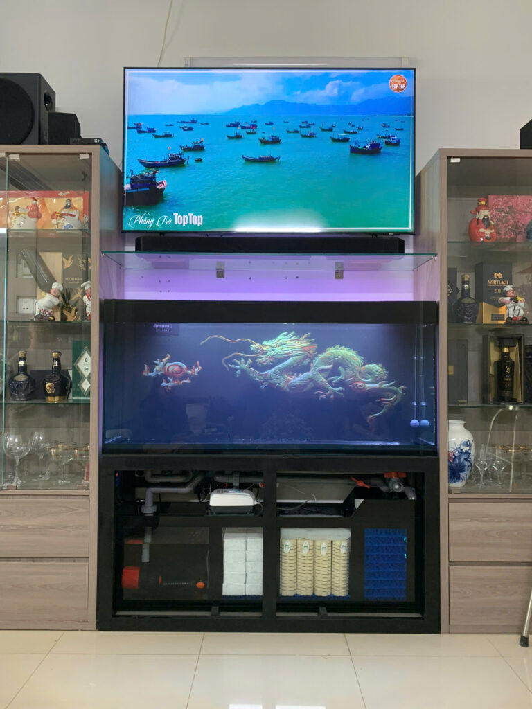 Hệ Thống Lọc Tràn Dưới Cho Bể Cá Rồng