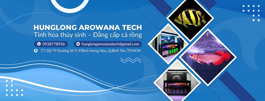 hunglong-arowana-tech-cover-banner-thiet-ke-be-ca-rong-tphcm Hùng Long Arowana Tech Cover Banner Thiết Kế Bể Cá Rồng TPHCM