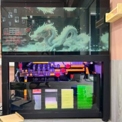 Siêu Phẩm Bể Cá Rồng Long Hồn Thủy Cung