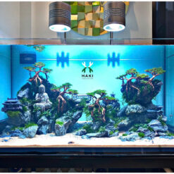 Mẫu Bể Cá Cảnh Đẹp Phòng Khách 2025