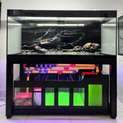 Siêu Phẩm Bể Cá Aquascape Sơn Khê Cổ Mộc