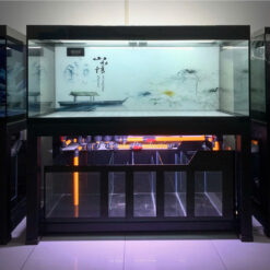 Siêu Phẩm Bể Cá Thanh Tâm Thiền Thuyền