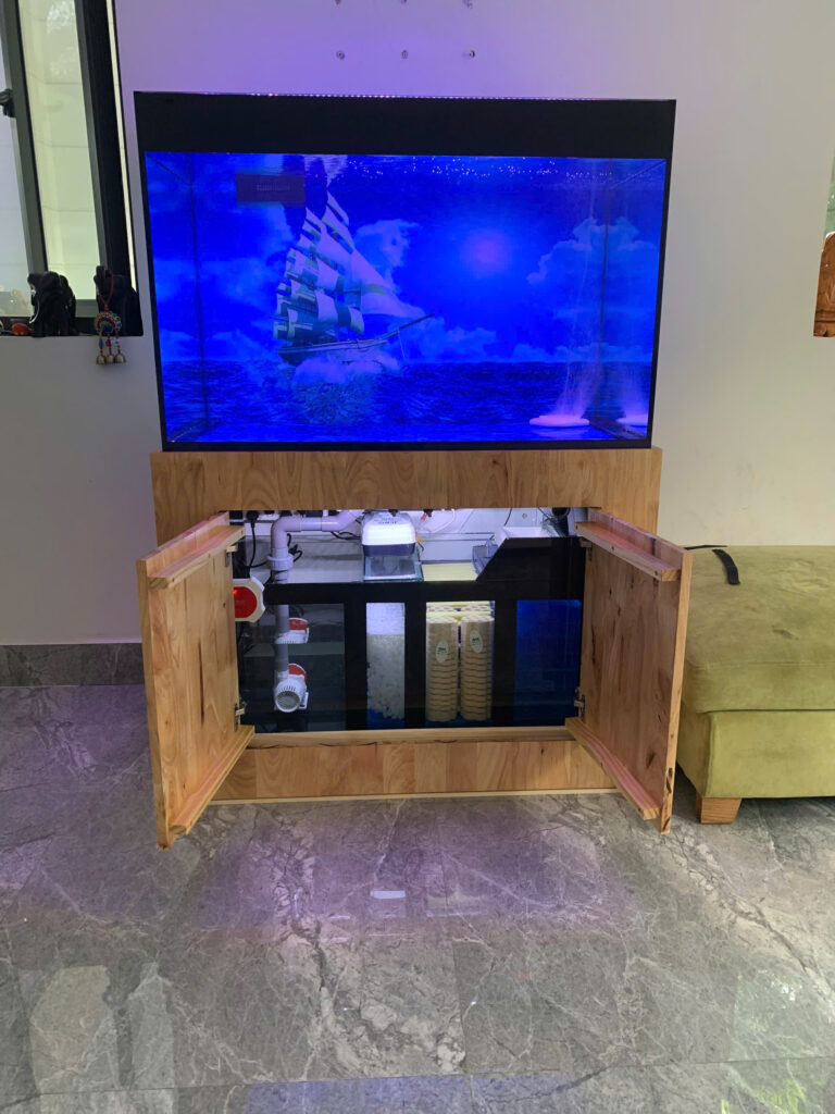 Thi Công Bể Cá Rồng 2m Chân Tủ Gỗ Gõ Đỏ Cao Cấp