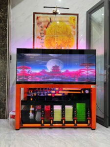 Thiết Kế Bể Cá Rồng Phong Thủy Đẹp