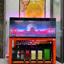 Thiết Kế Bể Cá Rồng Phong Thủy Đẹp