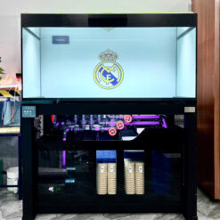 Thiết Kế Bể Cá Thủy Sinh Iwagumi Kính Siêu Trong