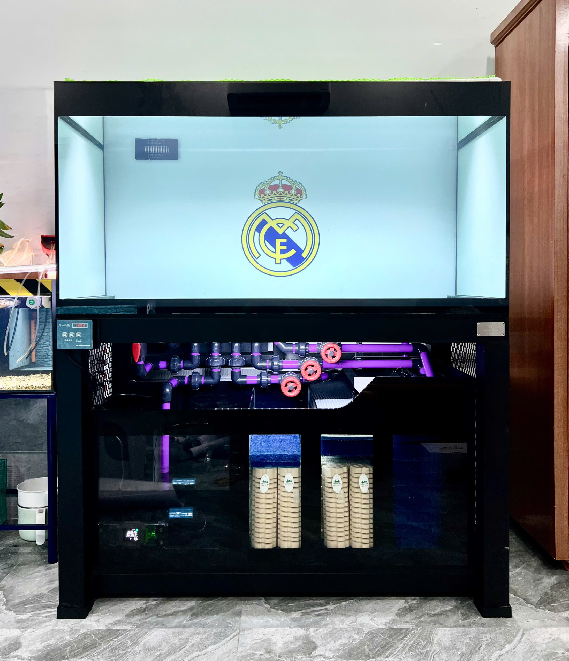 Thiết Kế Bể Cá Thủy Sinh Iwagumi Kính Siêu Trong