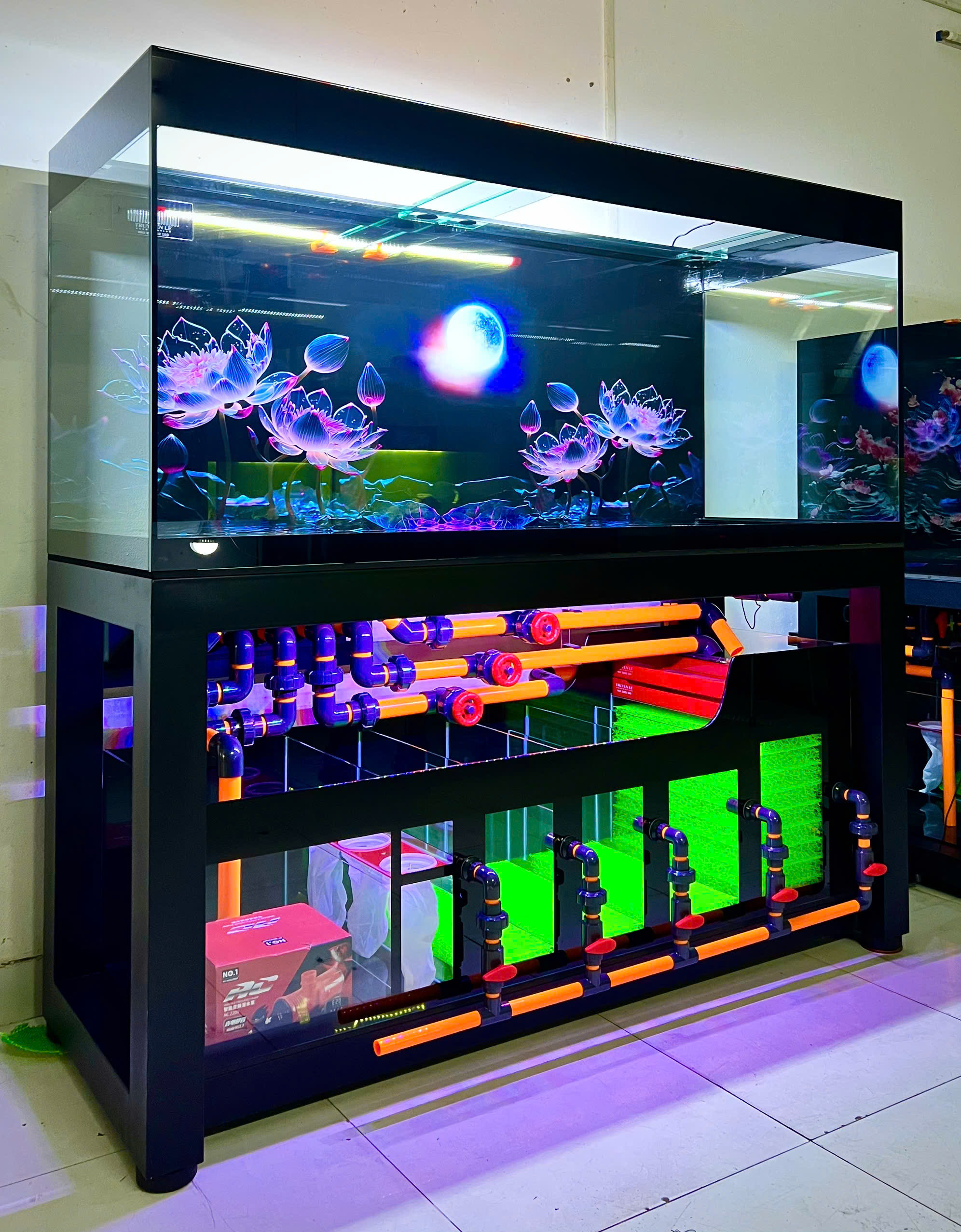 Thiết Kế Bể Nuôi Cá Hổ Chuyên Nghiệp