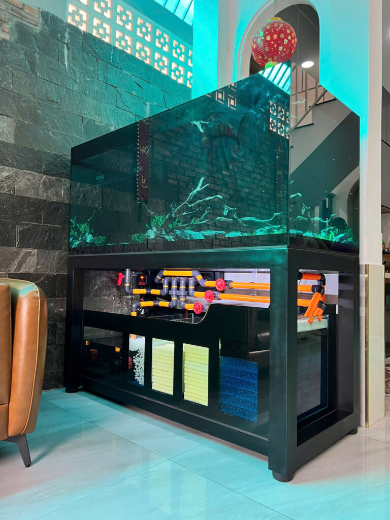 Trang Trí Bể Cá Hổ Tạo Nơi Ẩn Nấp