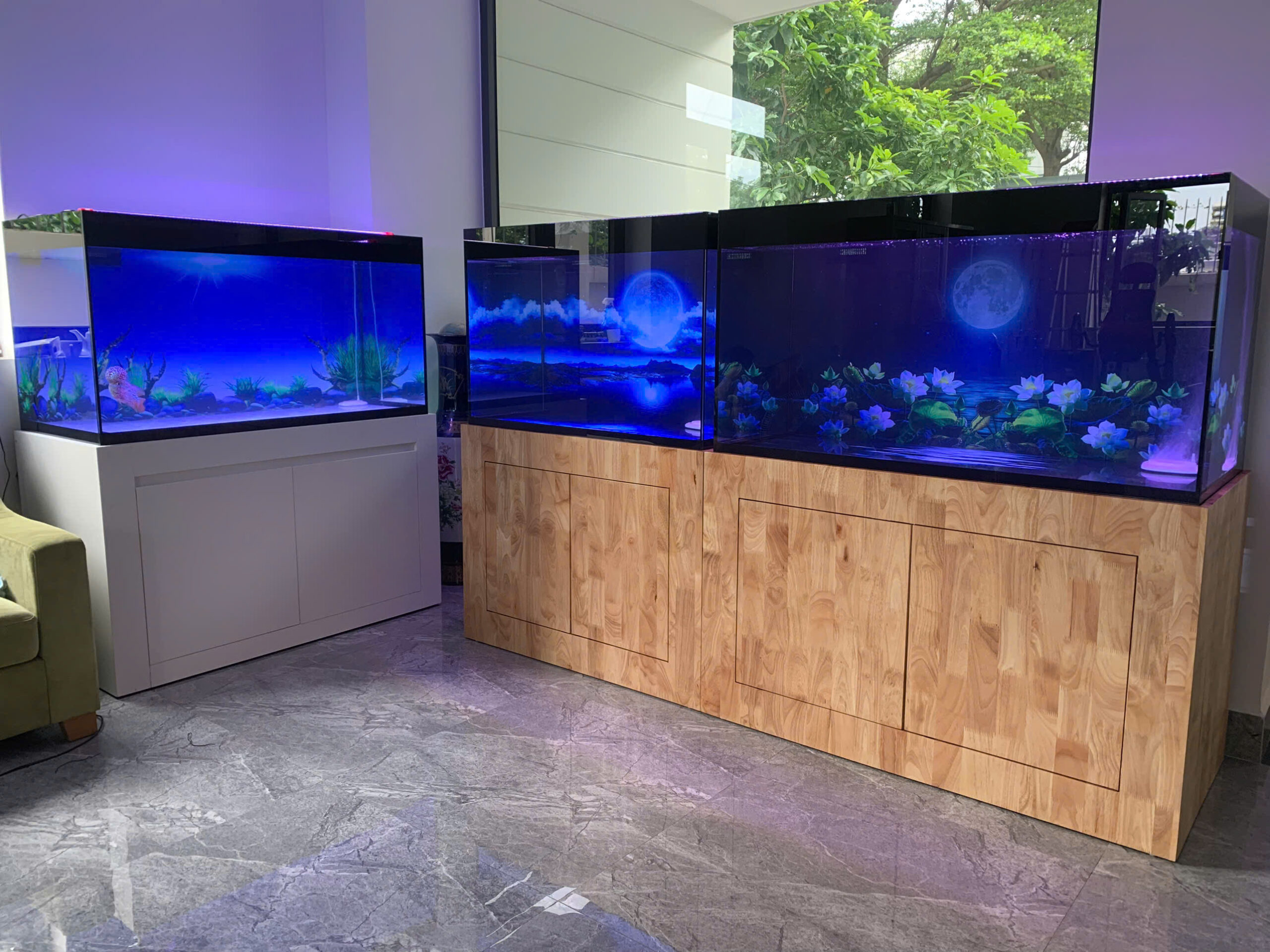 Vị Trí Đặt Bể Cá Rồng Phong Thủy